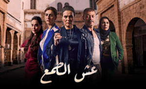 29863_tile_image_1771354761726